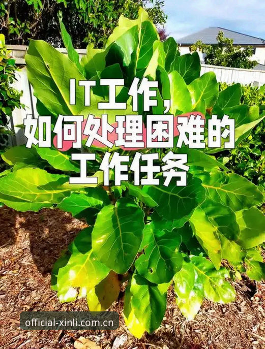 新利体育2026新版注册流程vs常见问题全解析:一次性搞定所有注册难题